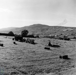 Haymaking, Healaugh and Calver Hill